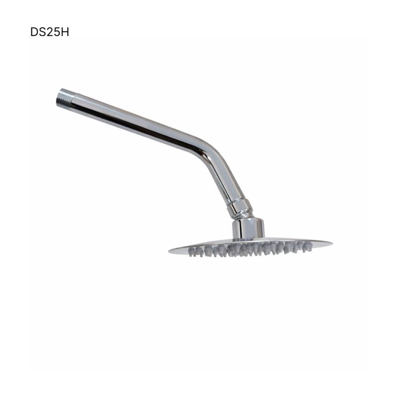 Head Shower With Arm Ss 6" - DS25H