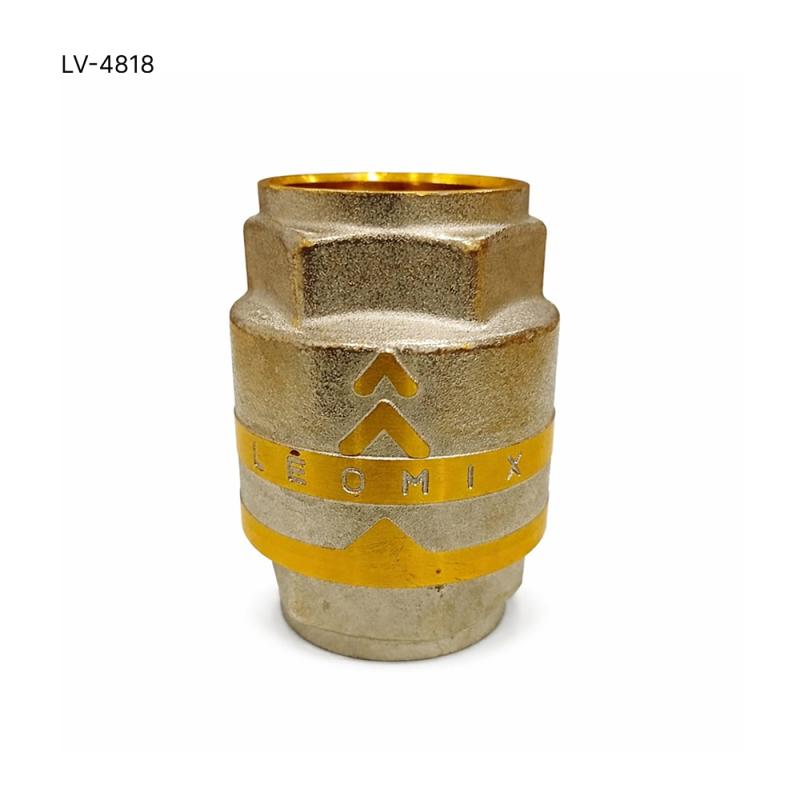 Non Return Valve 1' Brass Dn25 - LV-4818
